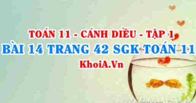 Bài 14 trang 42 SGK Toán 11 tập 1 Cánh Diều
